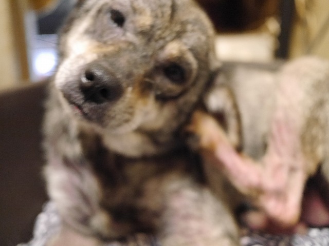 f0282319_18113919.jpg