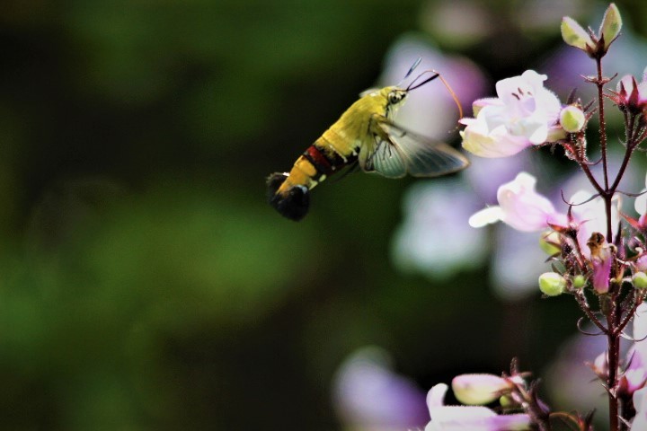 f0354923_00054154.jpg