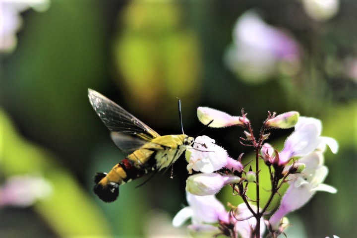 f0354923_00065990.jpg