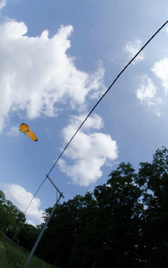 a0126632_16571591.gif