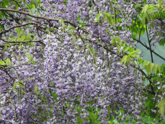 f0118332_00250963.jpg