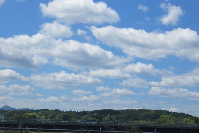 a0017634_17141162.jpg