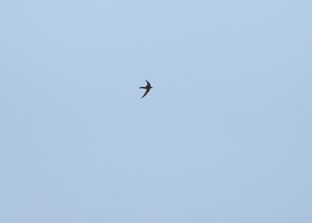b0096536_22392376.jpg