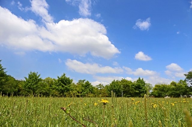 a0242438_19042329.jpg