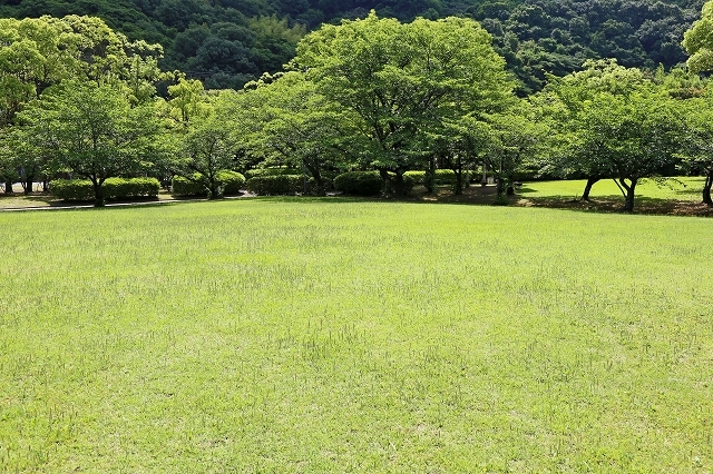 a0242438_19042436.jpg