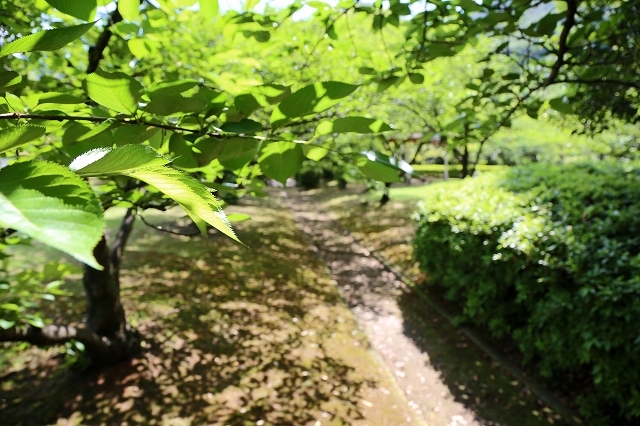 a0242438_19042495.jpg