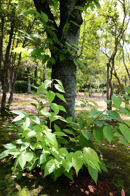 a0242438_19042497.jpg