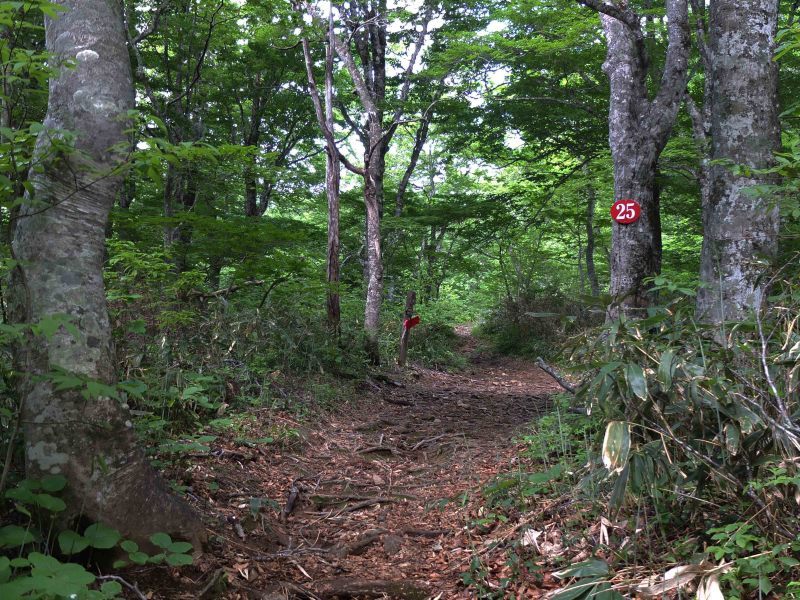 d0347140_18354700.jpg