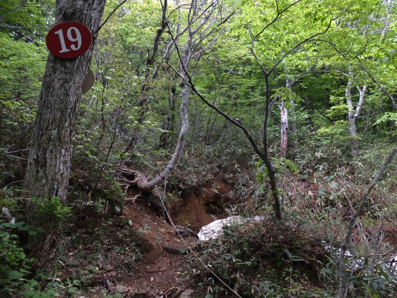 d0347140_18380888.jpg