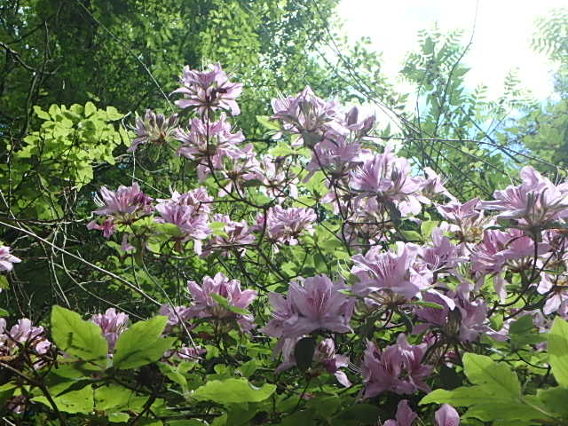 f0334143_17562535.jpg