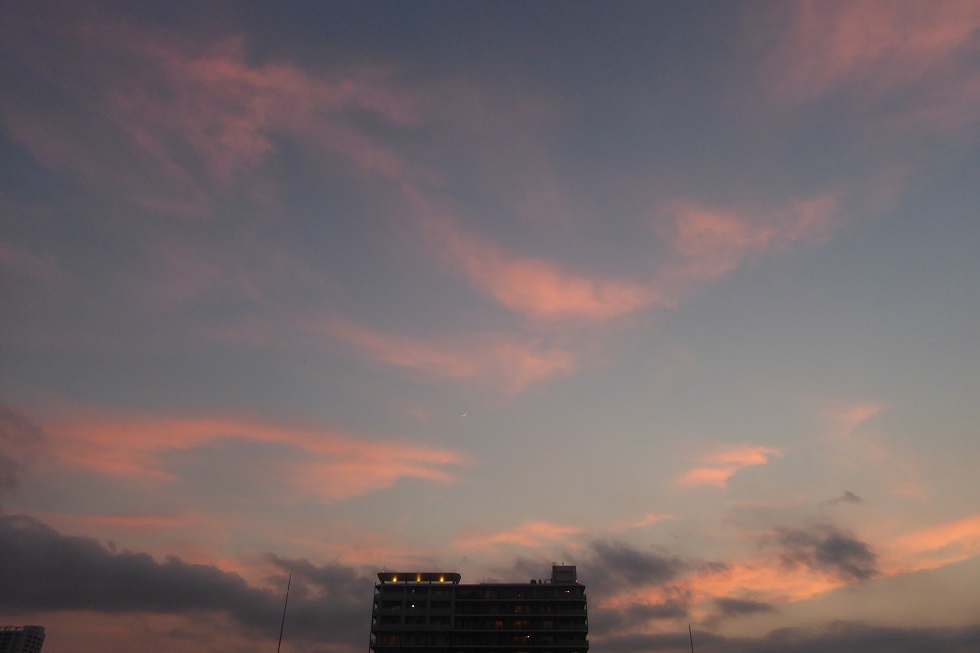 d0288144_20365540.jpg