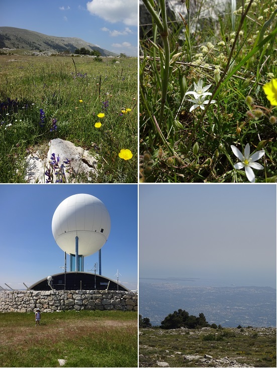 f0194446_20133610.jpg
