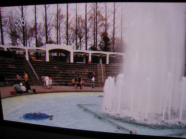 c0160751_10341920.jpg
