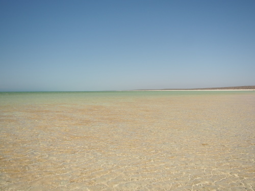 c0351060_20104252.jpg