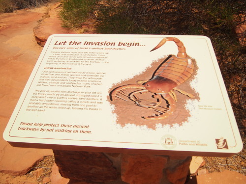 c0351060_20264718.jpg