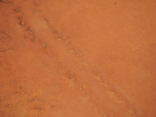 c0351060_20472914.jpg