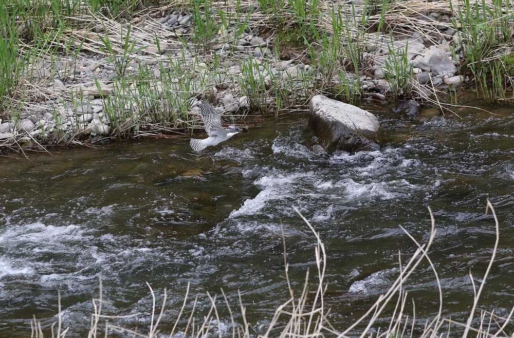 f0347565_14571773.jpg