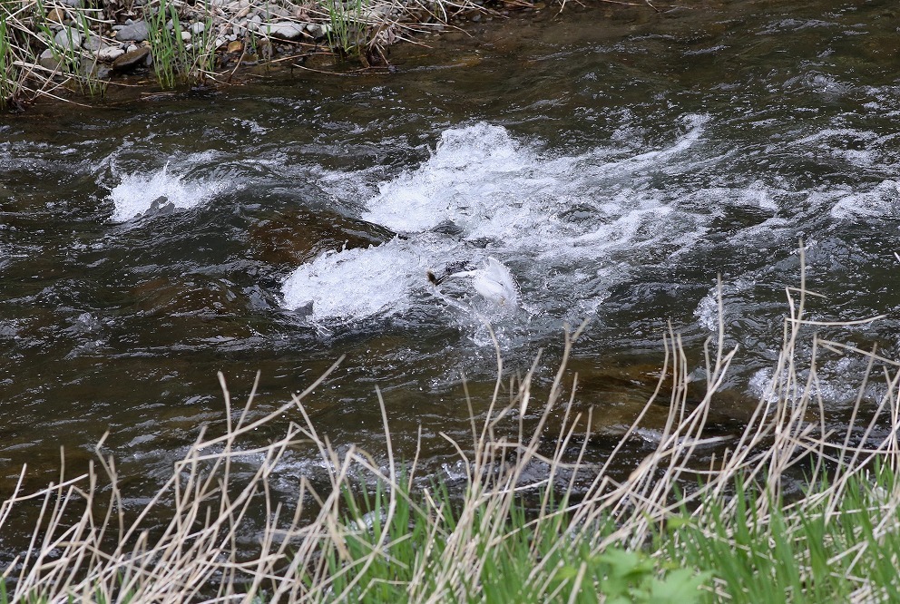 f0347565_14574975.jpg