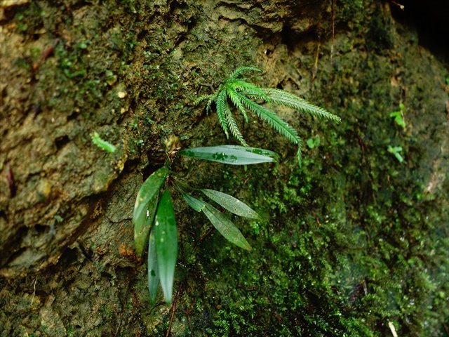 a0067578_2149509.jpg