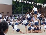 f0222378_11484619.jpg