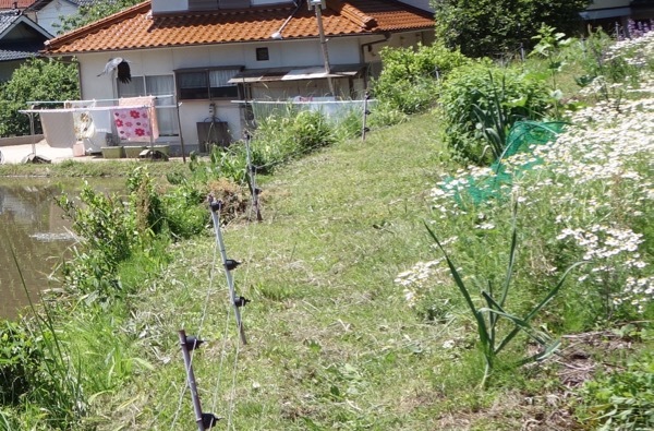 c0173882_21013996.jpg