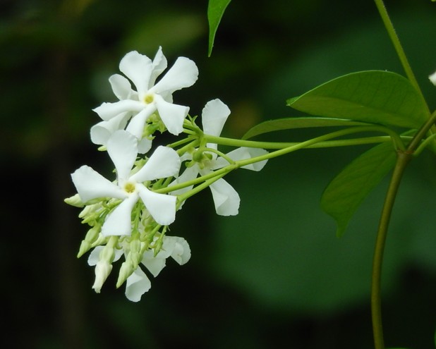c0144185_12491219.jpg