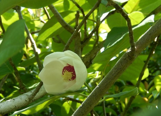c0144185_1254567.jpg