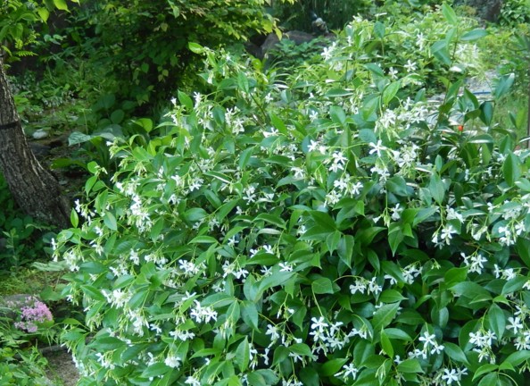 c0144185_13121829.jpg