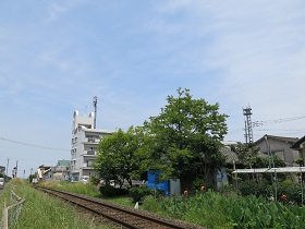 e0130185_1311373.jpg