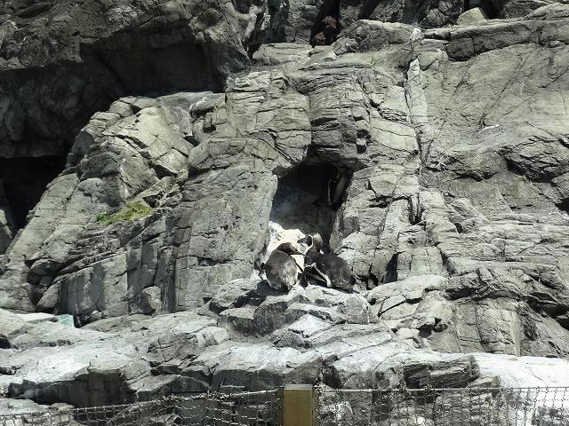f0017185_91945.jpg