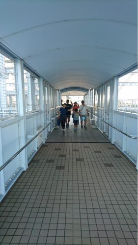 e0197292_08264314.jpg