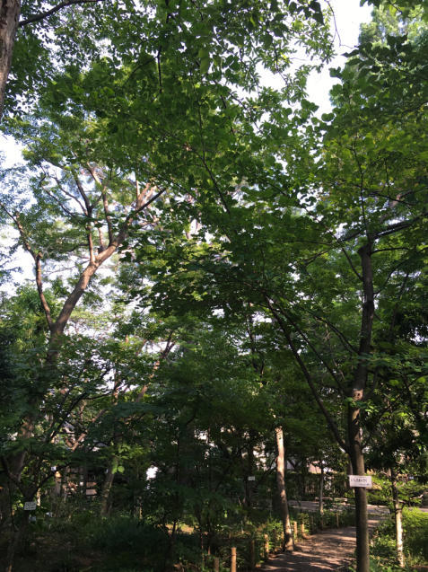 e0152493_22352770.jpg