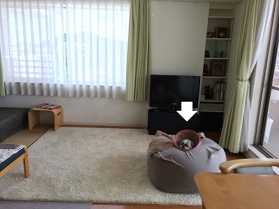 f0372998_22383697.jpg