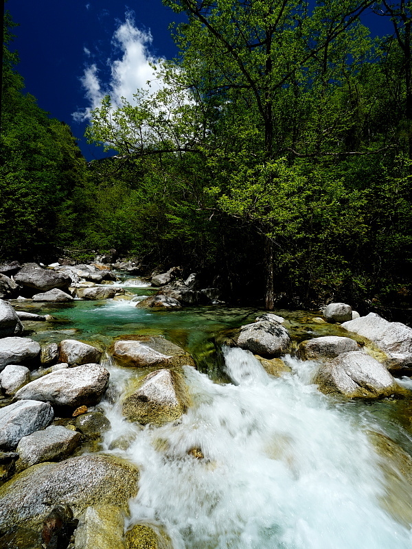c0339900_06501489.jpg