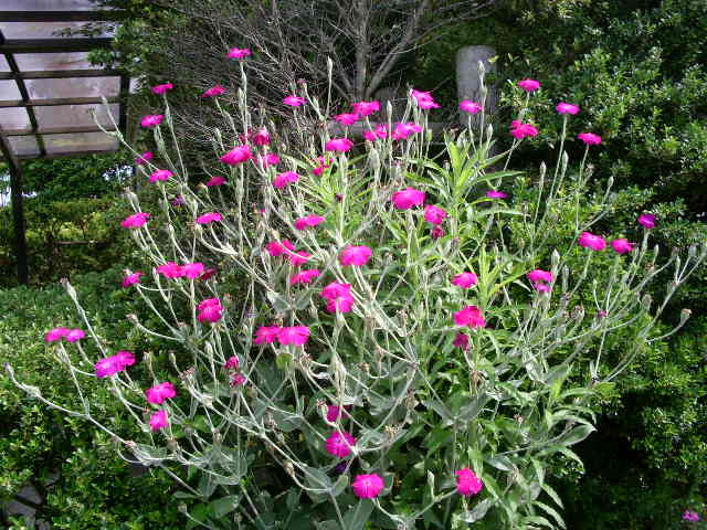 e0025300_1913910.jpg