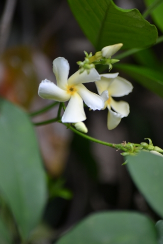 a0240403_111153.jpg