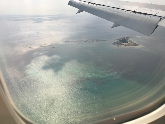 e0359604_10502079.jpg