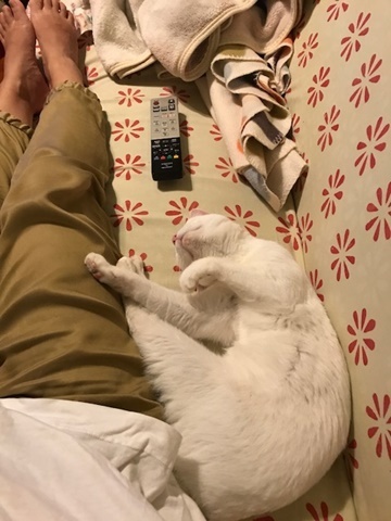 e0359604_17170740.jpeg
