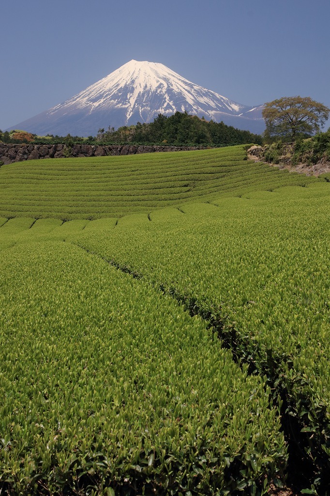 a0188405_07261250.jpg