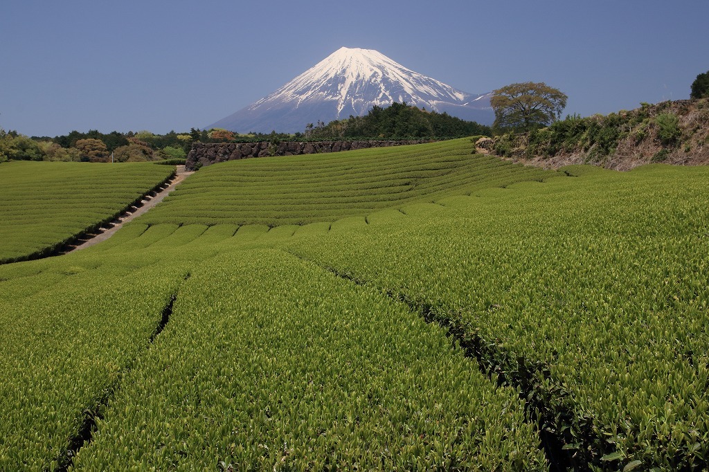 a0188405_07290299.jpg