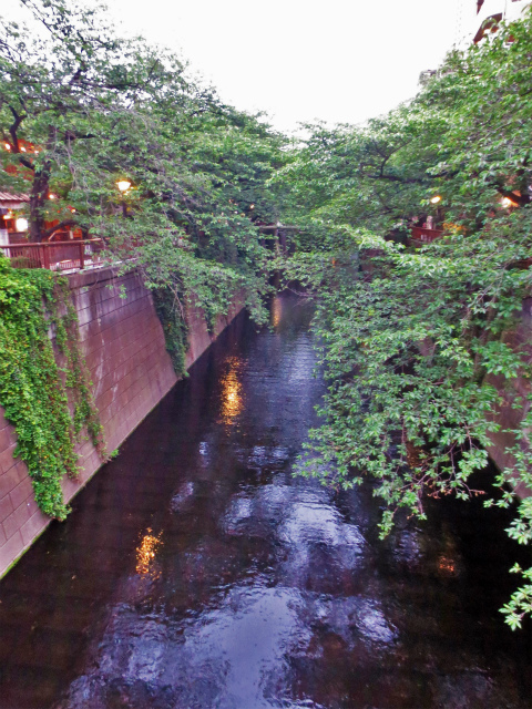 b0064411_07031313.jpg