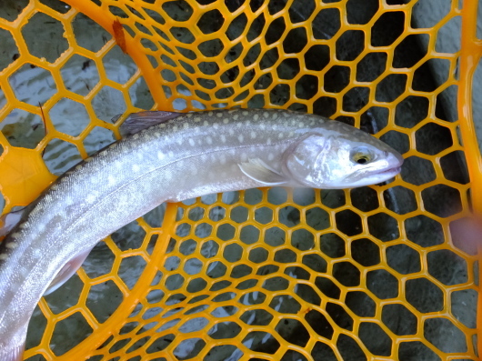 c0232813_00401339.jpg