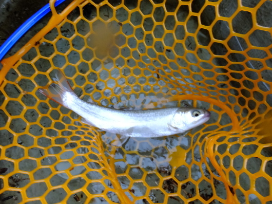 c0232813_00461800.jpg
