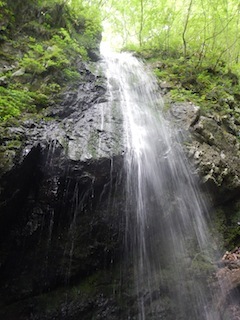 c0359615_20411264.jpg