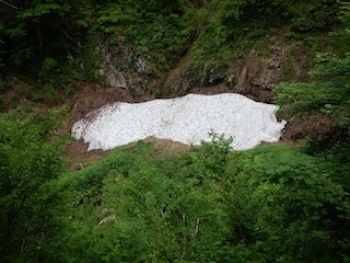 c0359615_20414658.jpg