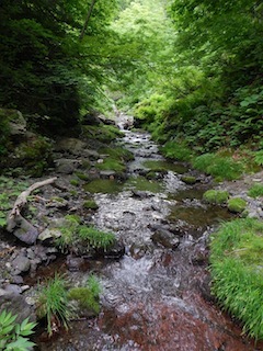 c0359615_20420136.jpg