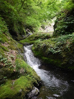 c0359615_20421873.jpg