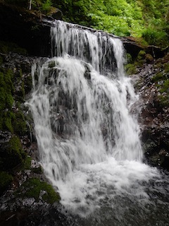 c0359615_20423622.jpg