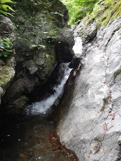 c0359615_20424933.jpg
