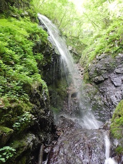 c0359615_20430124.jpg